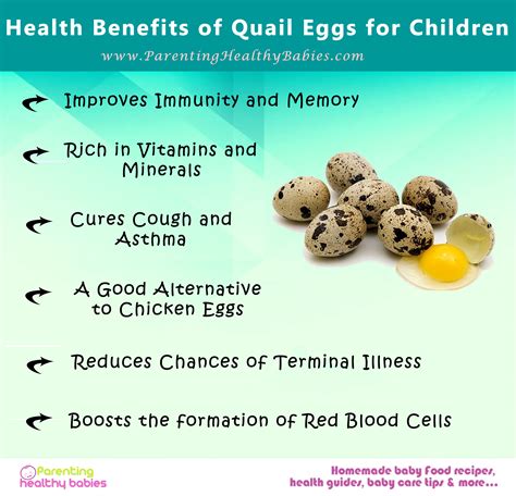 Health Benefits of Quail Egg .